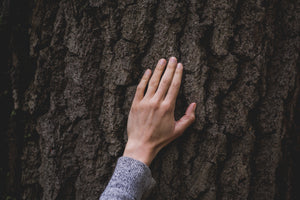 anti artificial intelligence human hand